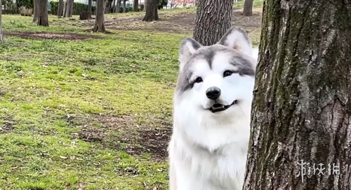 AMD,揭秘未来芯,架构震撼亮,2026世界杯赛程,世界杯比赛时间,世界杯比分,世界杯赛程表,世界杯小组赛,世界杯淘汰赛