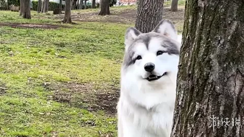 揭秘未来芯力：AMD Zen6架构震撼亮相，2nm工艺引领全面革新风暴！